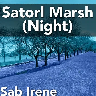 Satorl Marsh Night (From 