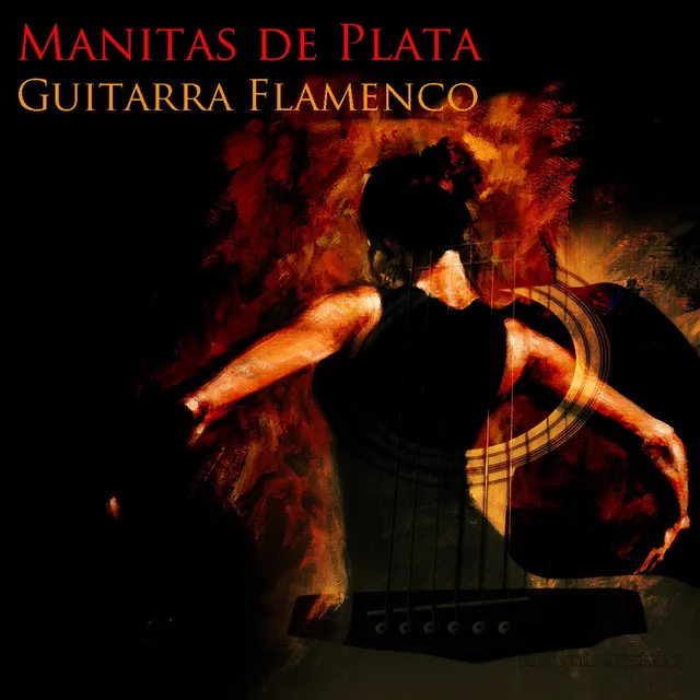 Guitarra Flamenco