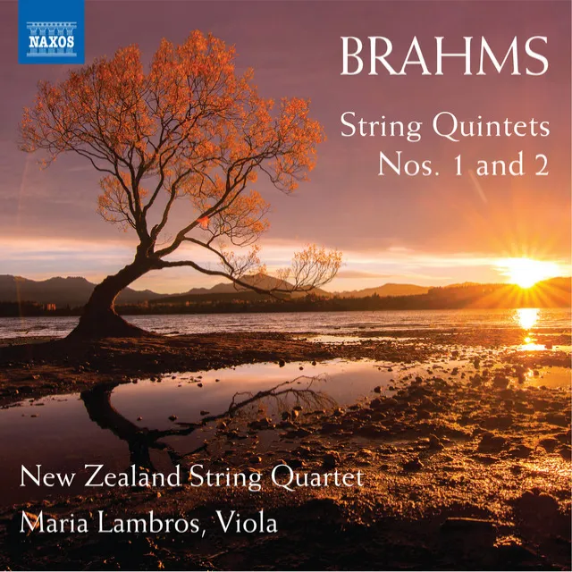 String Quintet No. 1 in F Major, Op. 88 "Spring": I. Allegro non troppo ma con brio