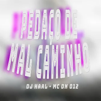 Pedaço de Mal Caminho by Mc Dn 012