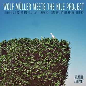 Wolf Müller Meets The Nile Project by Wolf Müller