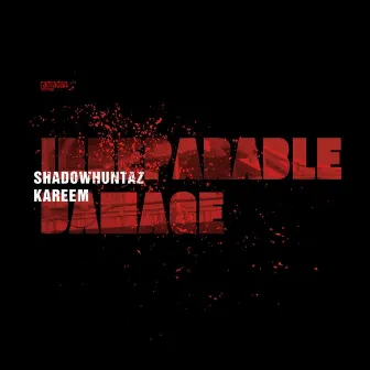 Irreparable Damage by Shadow Huntaz