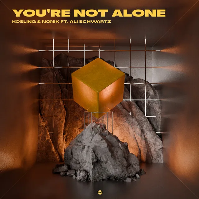 You're Not Alone - Extended Mix