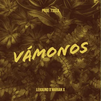 Vámonos by Lekaund