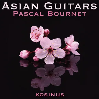 Asian Guitars by Pascal Bournet