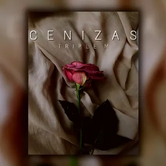 Cenizas by Triple M