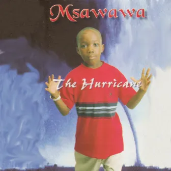 The Hurricane by Msawawa