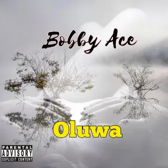 Oluwa by Bobby Ace