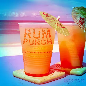 Rum Punch (The Wait is Over Riddim) by DJ Tygga Ty