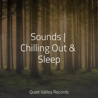 Sounds | Chilling Out & Sleep by Nature & Sounds Background