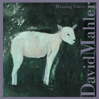 Hearing Voices by David Mahler