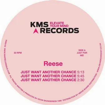 Just Want Another Chance by Reese