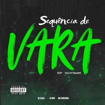 SEQUÊNCIA DE VARA by MC Gibizinha