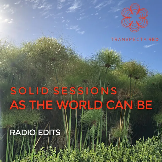 As the World Can Be (Radio Edits)