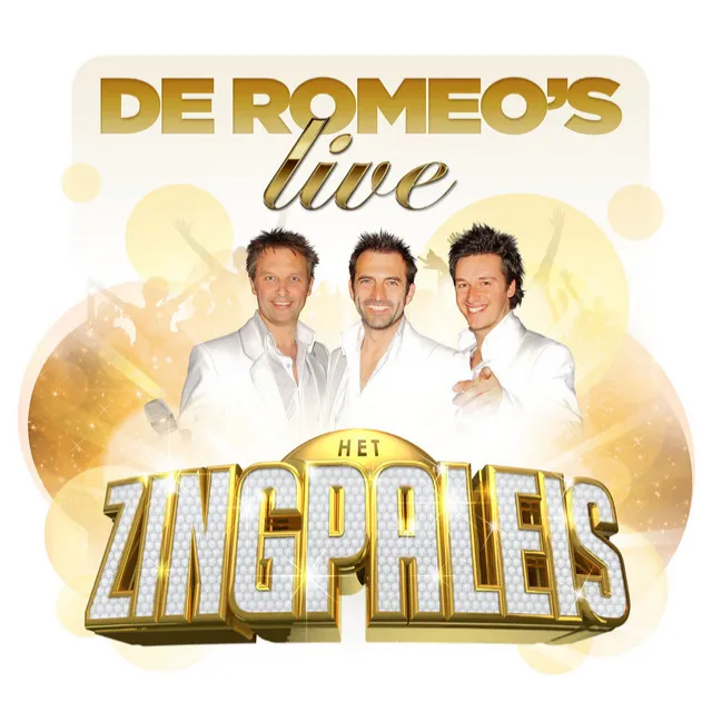 De Romeo's Live in Het Zingpaleis