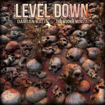 Level Down by the Wookie Monsta