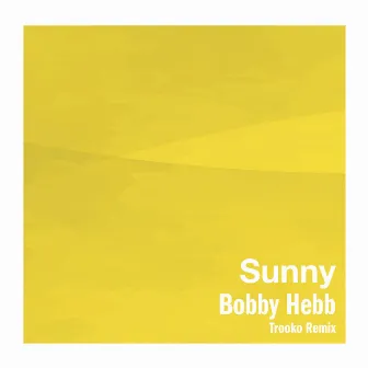 Sunny (Trooko Remix) by Bobby Hebb