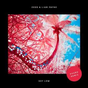 Get Low (with Liam Payne) [KUURO Remix] by Liam Payne