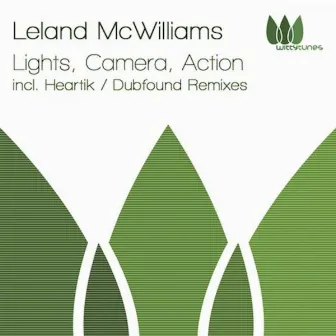 Lights, Camera, Action by Leland McWilliams