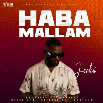 Haba Mallam by JEDAI