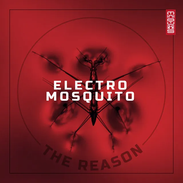 The Reason - Bruno Motta Radio Remix