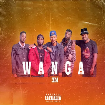 Wanga by 3M