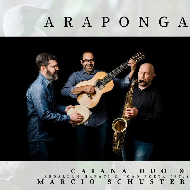 Araponga