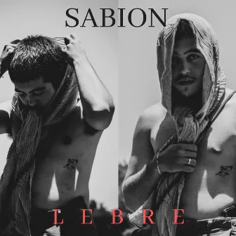 Lebre by sabion