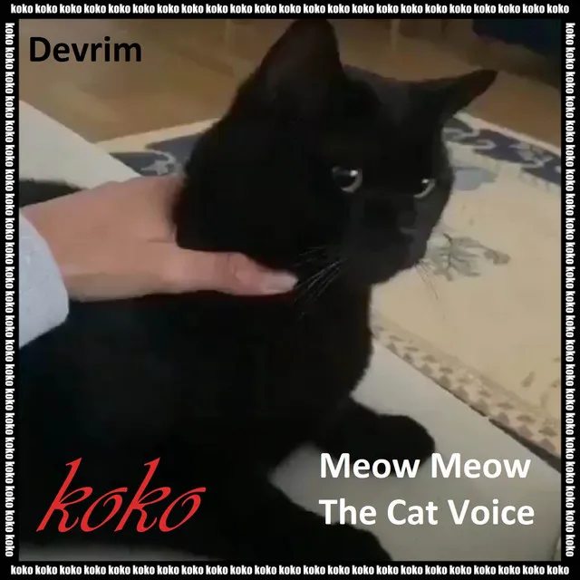 Meow Meow The Cat Voice