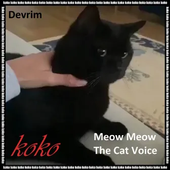 Meow Meow The Cat Voice by Devrim