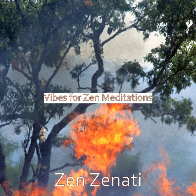 Music for Zen Meditation