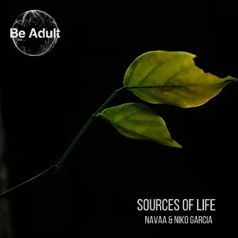 Source of Life by Navaa