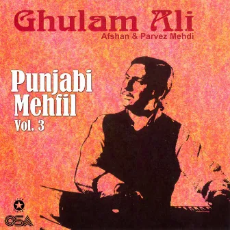 Punjabi Mehfil, Vol. 3 by Afshan