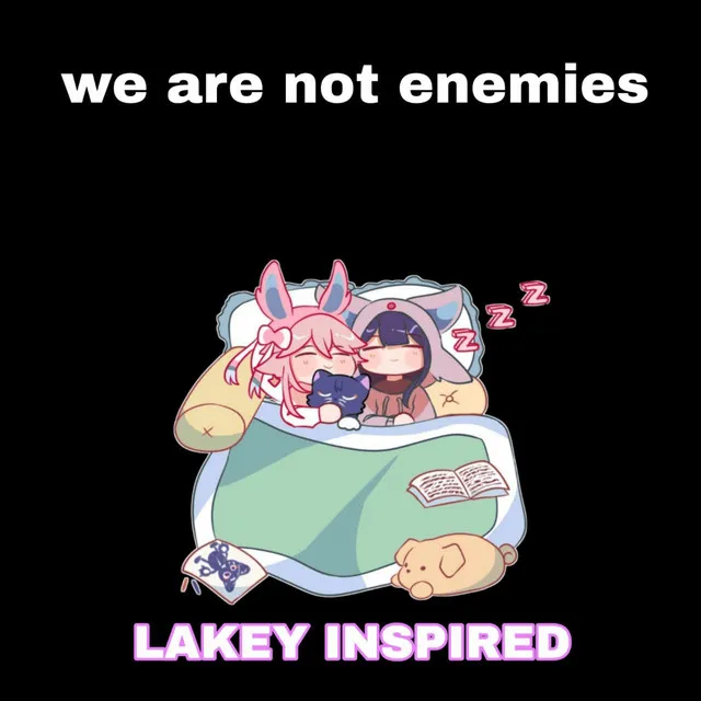 We Are Not Enemies