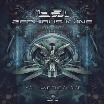 You Have the Choice by Zephirus Kane