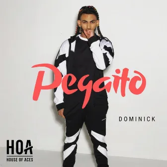 Pegaito by Dominick