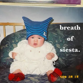 breath of siesta. by siesta