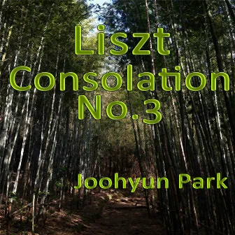 Liszt: Consolation No.3 in D-Flat Major, S. 172 by Joohyun Park