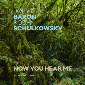 Now You Hear Me by Robyn Schulkowsky