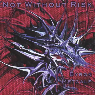 Not Without Risk by Byron Metcalf