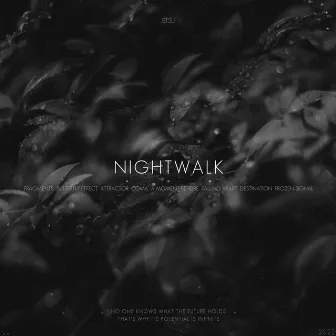 Nightwalk by Etsu