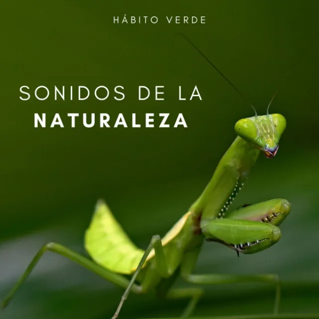 Sonidos De La Naturaleza: Hábito Verde