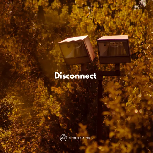 Disconnect