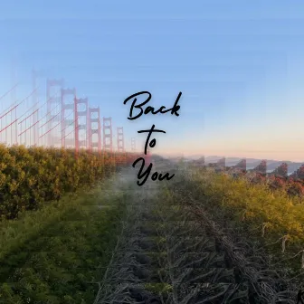 Back to You by Chester Fields