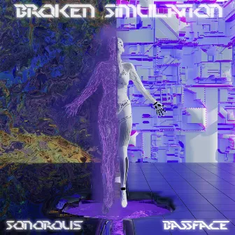 Broken Simulation by BASSFACE