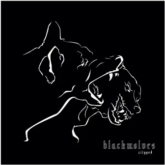 Blackwolves by Citygxd