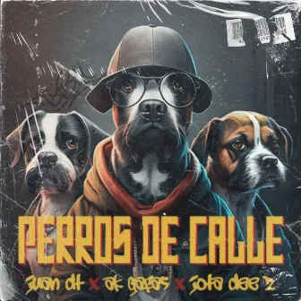 Perros de Calle by 