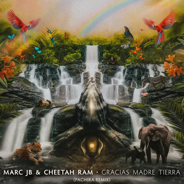 Gracias Madre Tierra (PACHIRA Remix)