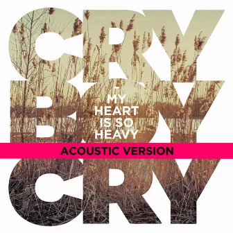 My Heart Is So Heavy (Acoustic Version) by Cry Boy Cry