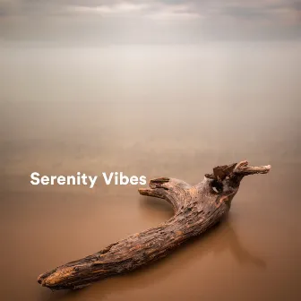 Serenity Vibes by Calm Music